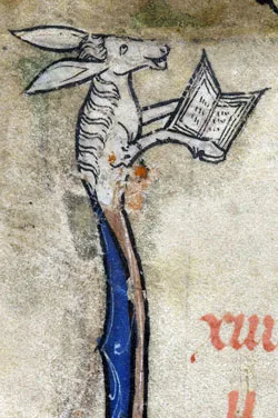 Donkey reading a medieval manuscript
