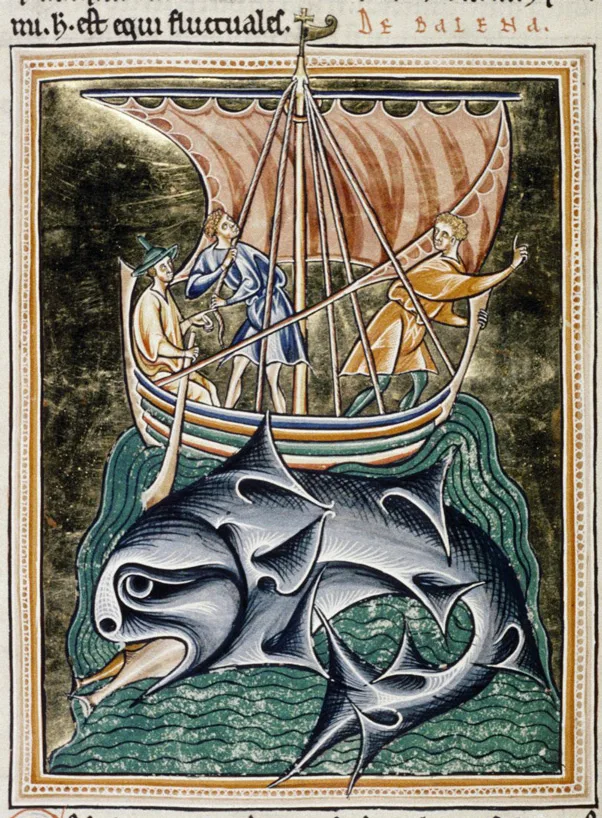 Whale representation from odleian Library, MS. Ashmole 1511, Folio 86v
