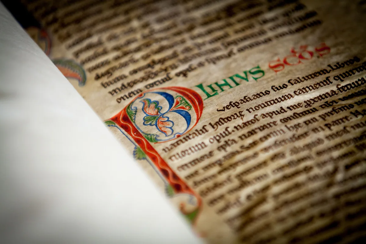 Initial P from Leiden VLQ 38, f. 23r