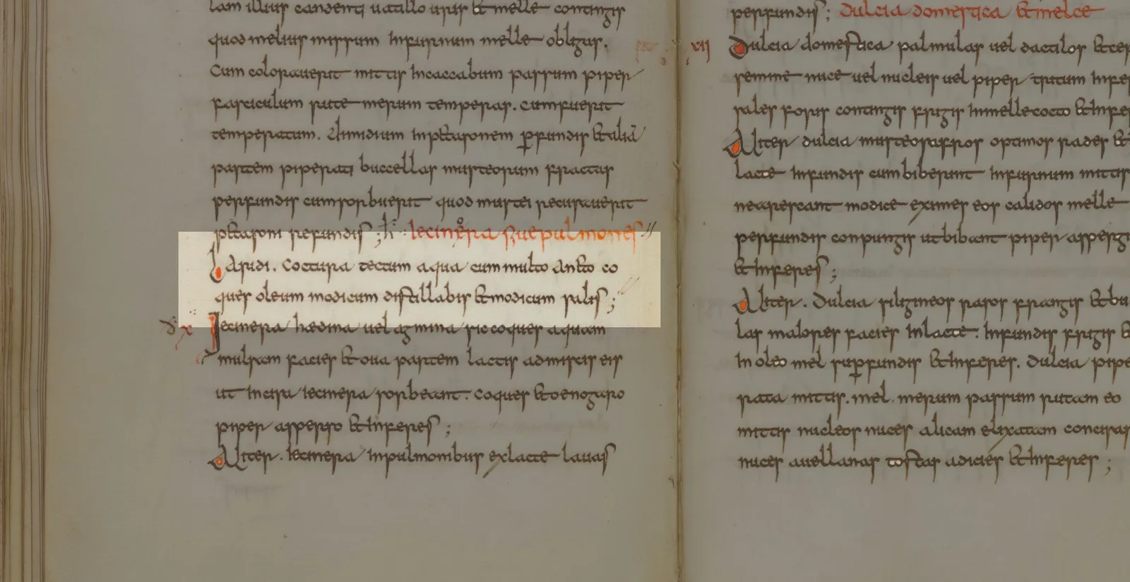Apicius, De re culinaria Libri I-IX, Laridi coctura, Manuscript